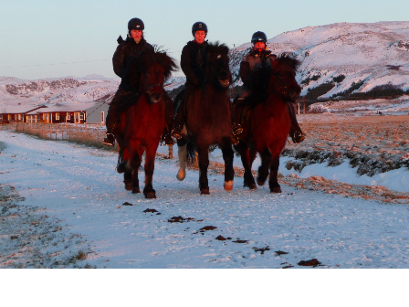 Riding Holiday Northern Lights